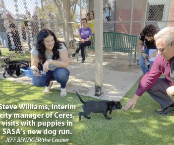 animal shelter