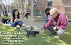 animal shelter