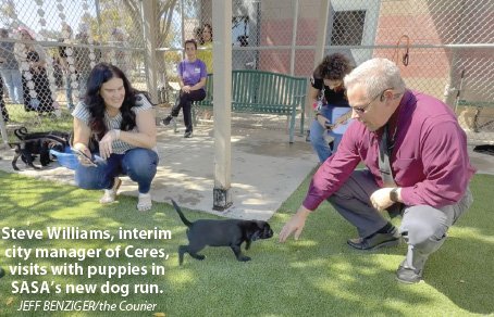 animal shelter