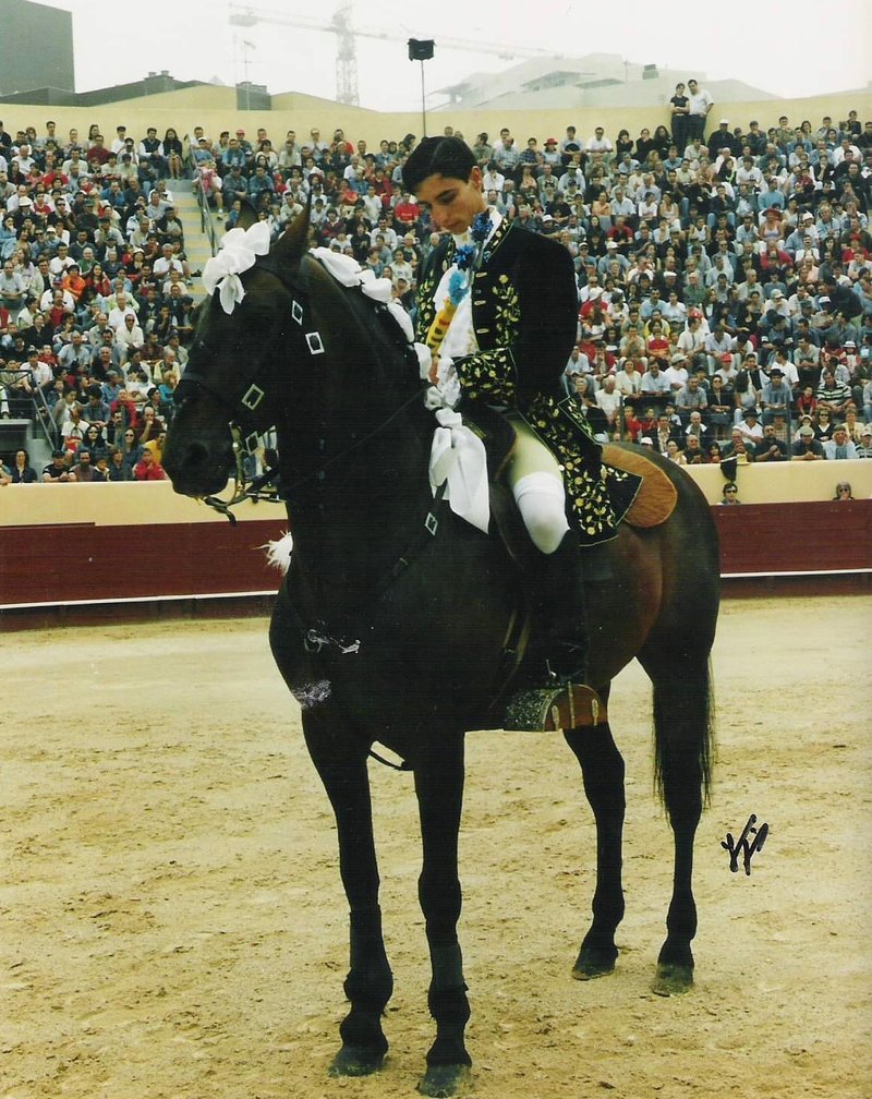 bullfighter 3