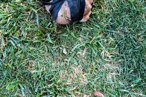 meat at cemetery