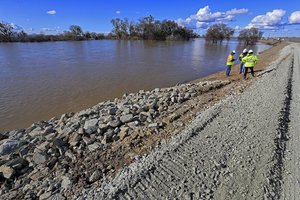 levees