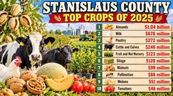 Top crops of 2025 graphic