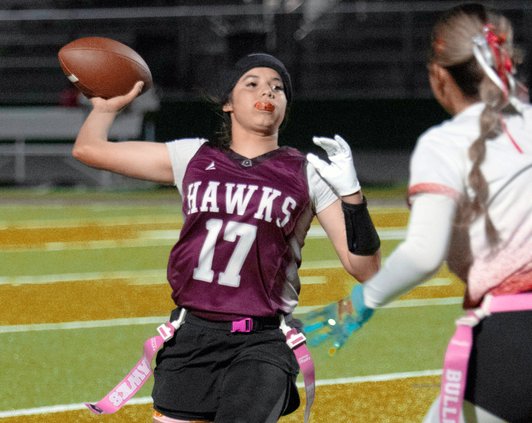 Hawk Nelmarie Diaz