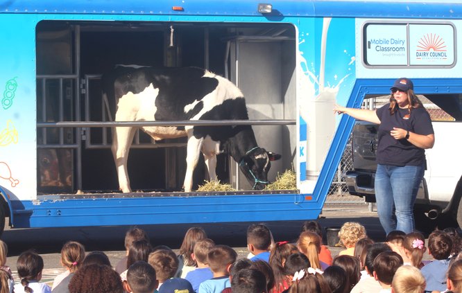 O milk