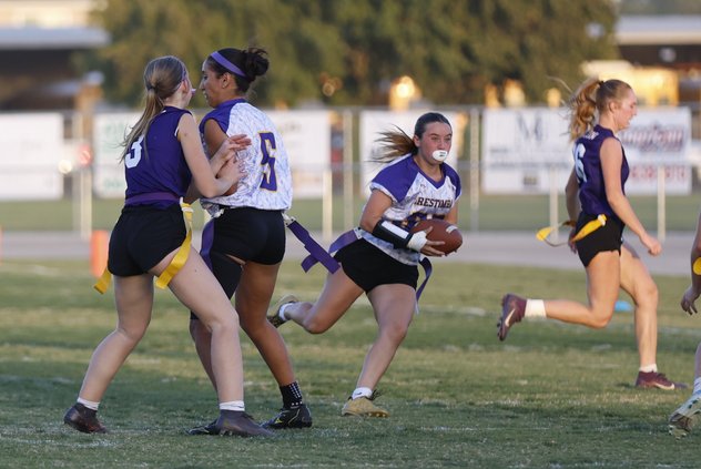 ohs ff 10-14 borge 2