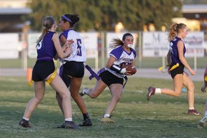 ohs ff 10-14 borge 2