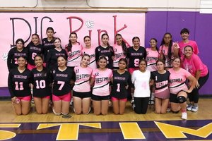 dig pink volleyball 10-14