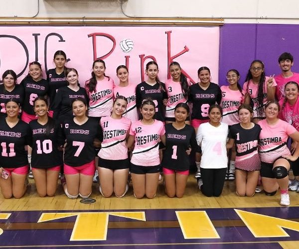 dig pink volleyball 10-14