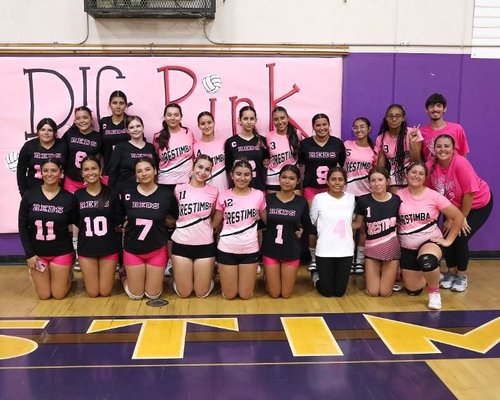 dig pink volleyball 10-14