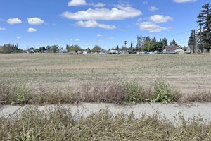 undeveloped Lions Park site