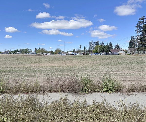 undeveloped Lions Park site