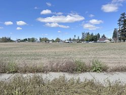 undeveloped Lions Park site