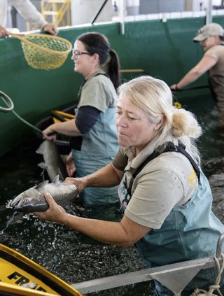 salmon research facility