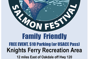 Salmon 10-21