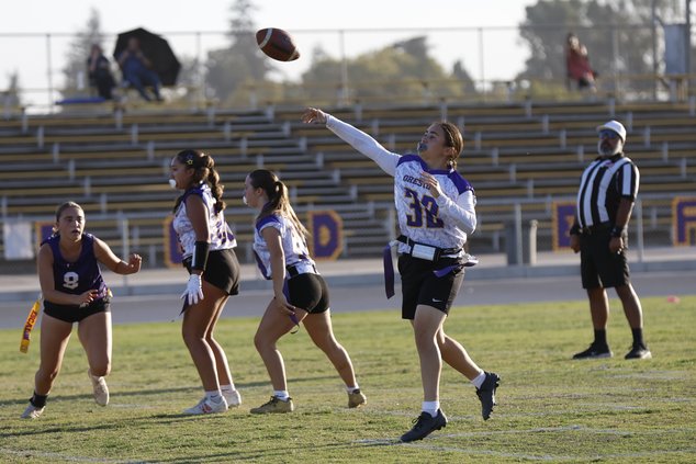 ohs ff 10-21