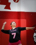 ghs vb 10-21