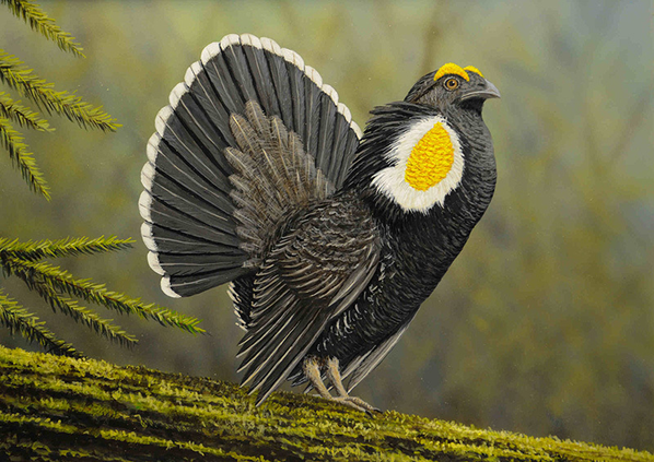 Grouse 1028