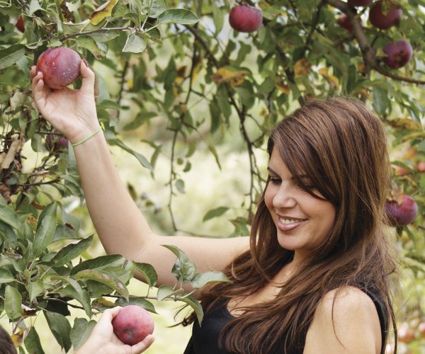 picking apples