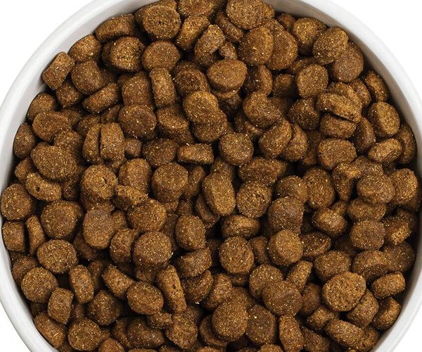 dry dog food