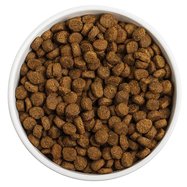 dry dog food
