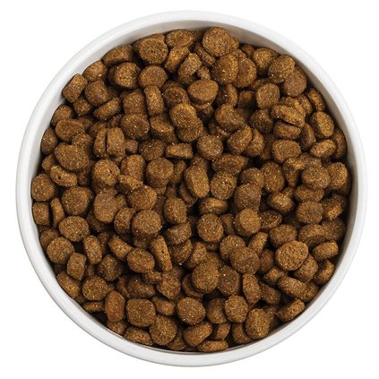 dry dog food