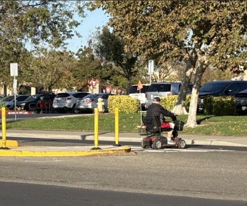 norman drive